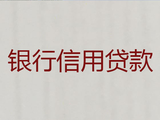 大丰正规贷款公司-银行信用贷款